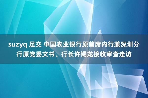 suzyq 足交 中国农业银行原首席内行兼深圳分行原党委文书、行长许锡龙接收审查走访