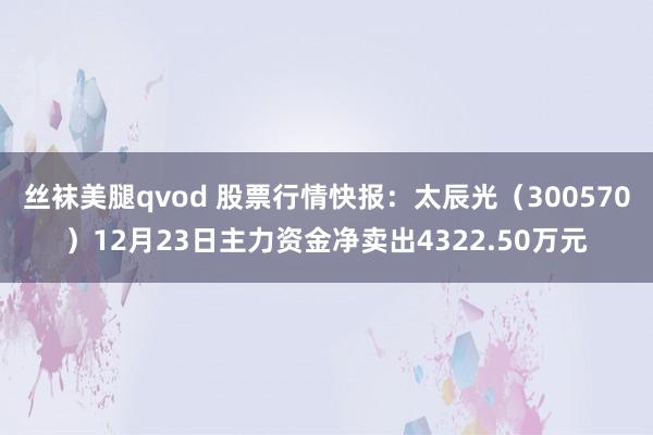 丝袜美腿qvod 股票行情快报：太辰光（300570）12月23日主力资金净卖出4322.50万元