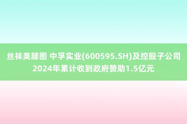 丝袜美腿图 中孚实业(600595.SH)及控股子公司2024年累计收到政府赞助1.5亿元