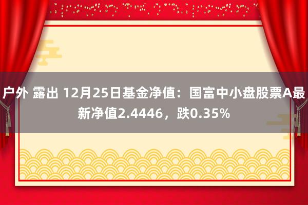 户外 露出 12月25日基金净值：国富中小盘股票A最新净值2.4446，跌0.35%