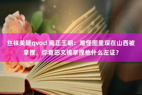 丝袜美腿qvod 雍正王朝：难怪图里琛在山西被拿捏，你看田文镜掌捏他什么左证？