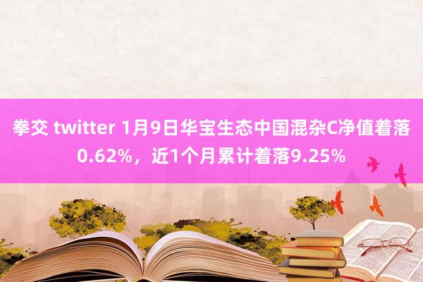 拳交 twitter 1月9日华宝生态中国混杂C净值着落0.62%，近1个月累计着落9.25%