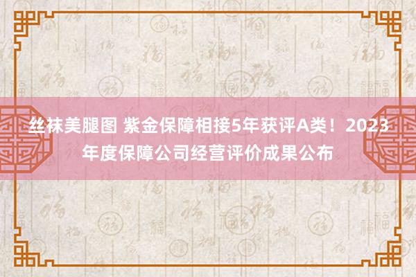 丝袜美腿图 紫金保障相接5年获评A类！2023年度保障公司经营评价成果公布