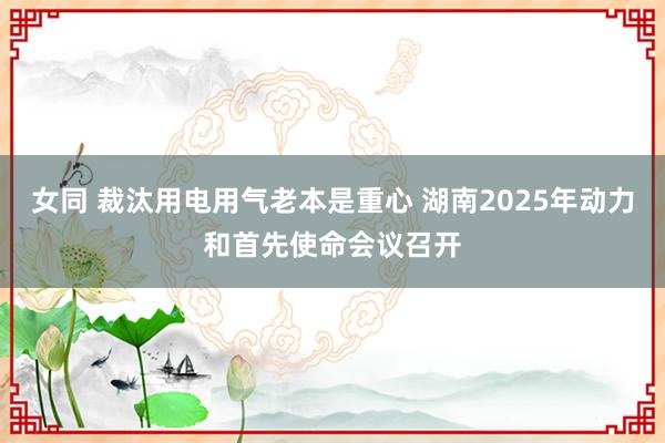 女同 裁汰用电用气老本是重心 湖南2025年动力和首先使命会议召开