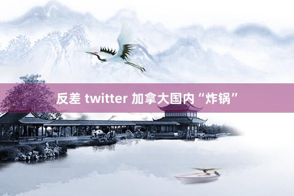 反差 twitter 加拿大国内“炸锅”