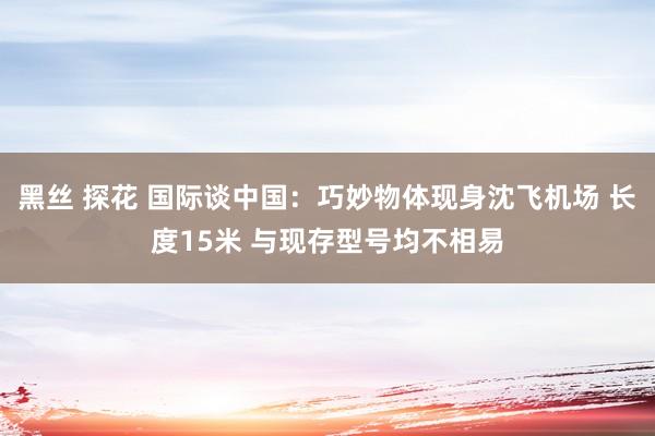 黑丝 探花 国际谈中国：巧妙物体现身沈飞机场 长度15米 与现存型号均不相易