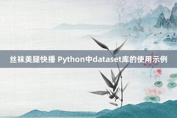 丝袜美腿快播 Python中dataset库的使用示例