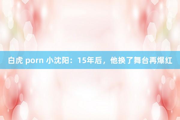 白虎 porn 小沈阳：15年后，他换了舞台再爆红