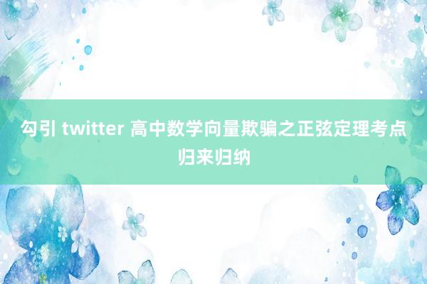 勾引 twitter 高中数学向量欺骗之正弦定理考点归来归纳