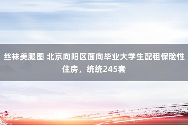 丝袜美腿图 北京向阳区面向毕业大学生配租保险性住房，统统245套