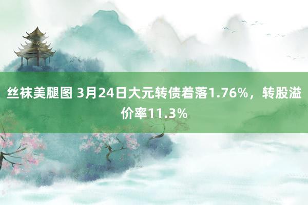 丝袜美腿图 3月24日大元转债着落1.76%，转股溢价率11.3%